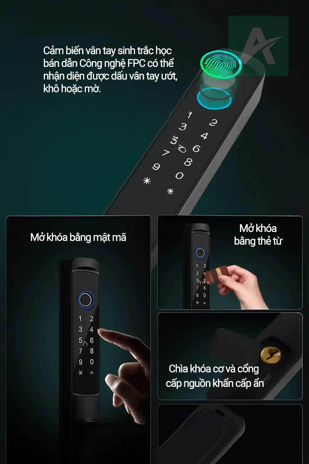 Khóa vân tay cửa nhôm ASLock AN002Z – Bảo mật cao cấp, tiện nghi và sang trọng